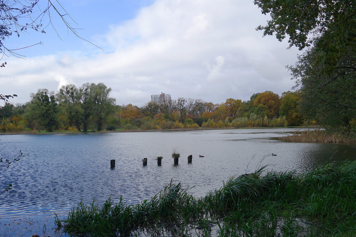 Озеро Лесное, Калининград - Рита Симонова