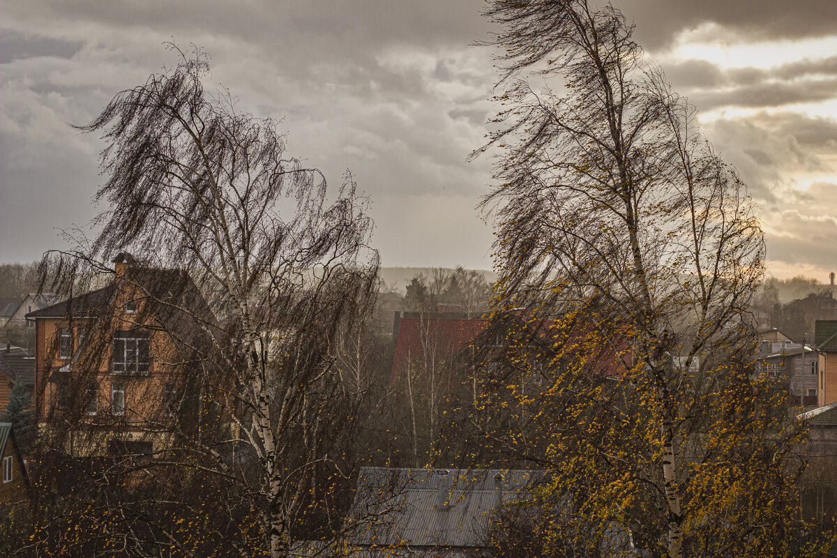 Ноябрь, ненастье. - Петр Беляков