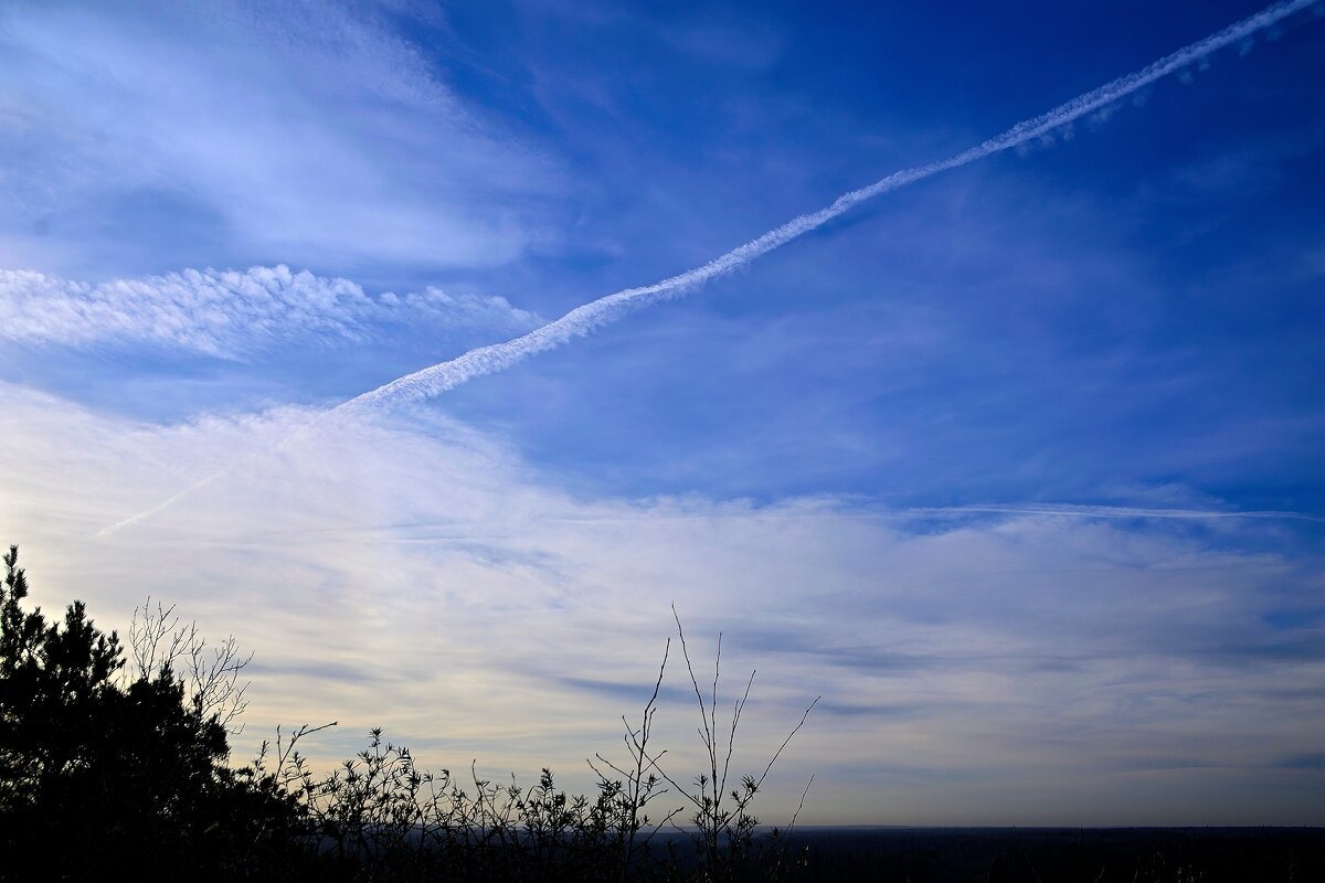 - - Владимир Мигонькин