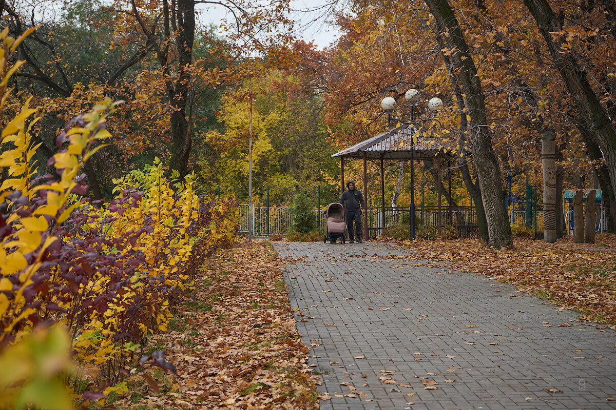 Осень в Новокуйбышевске (дубль 2) - Олег Манаенков