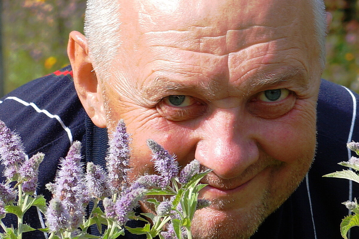 Хитрюга - Нэлли Обертынская Хитрюга - Нэлли Обертынская