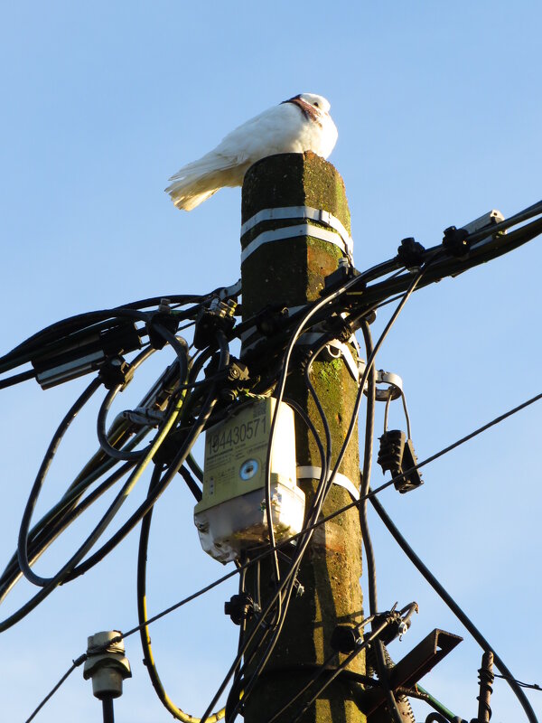Главный по коммуникациям - Андрей Снегерёв