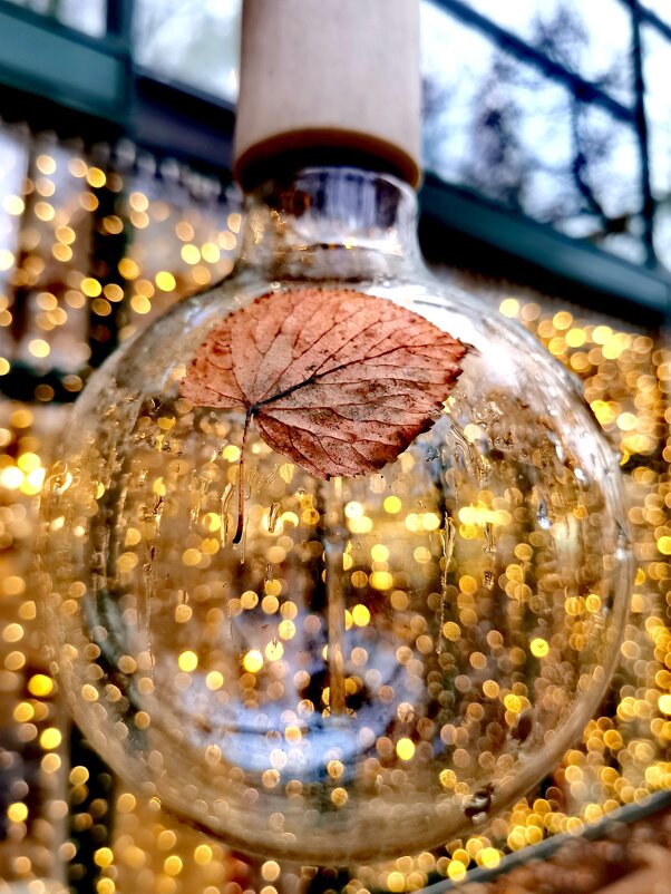 Прикрепился - Любимова Ольга 