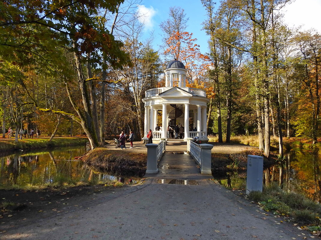 осень - ИННА ПОРОХОВА осень - ИННА ПОРОХОВА