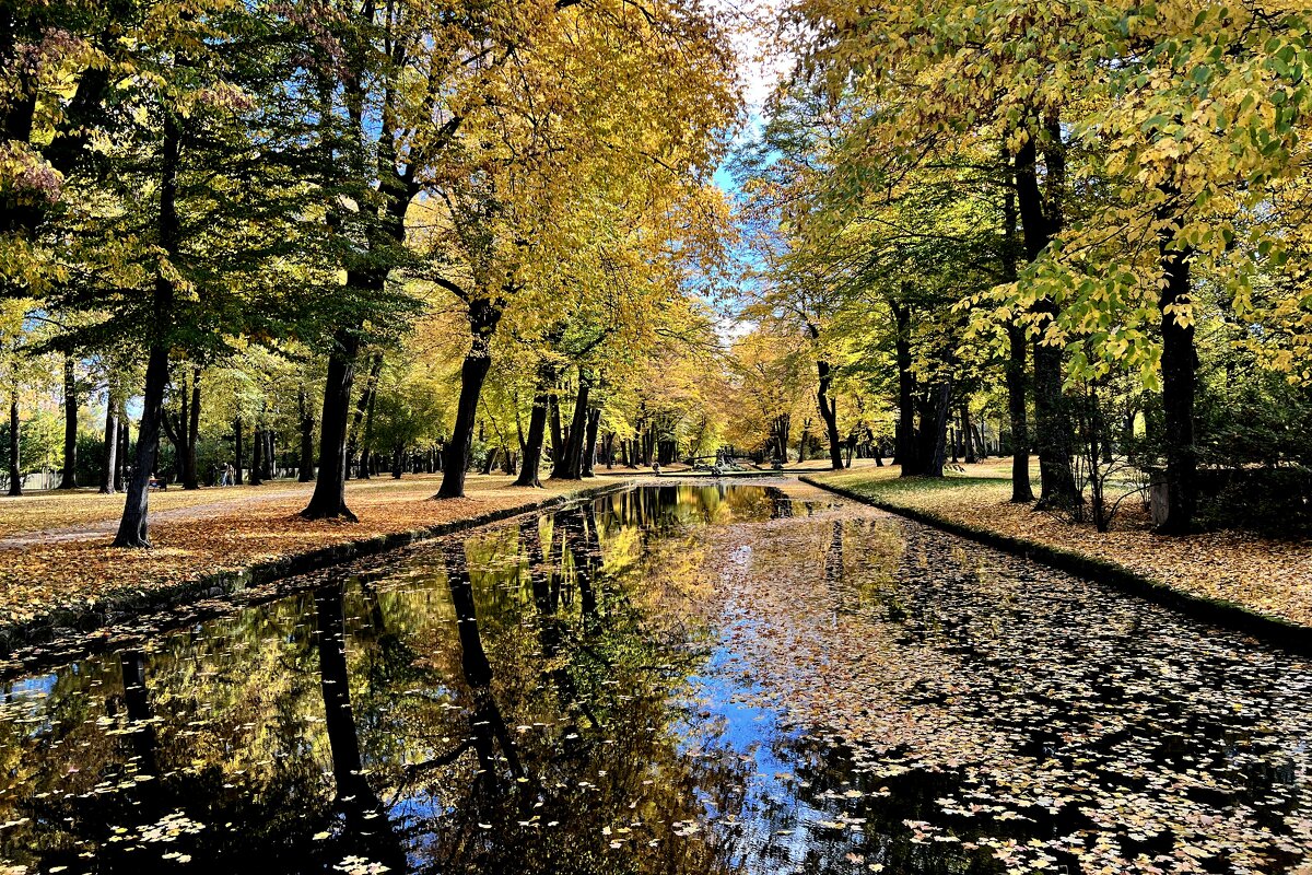 В одно окно смотрели двое... Один увидел дождь и грязь, Другой - листвы зеленой вязь, - "The Natural World" Александер