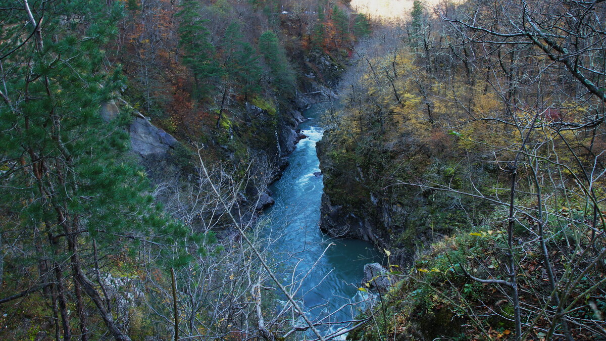 Гузерипль - Сергей Запорожцев