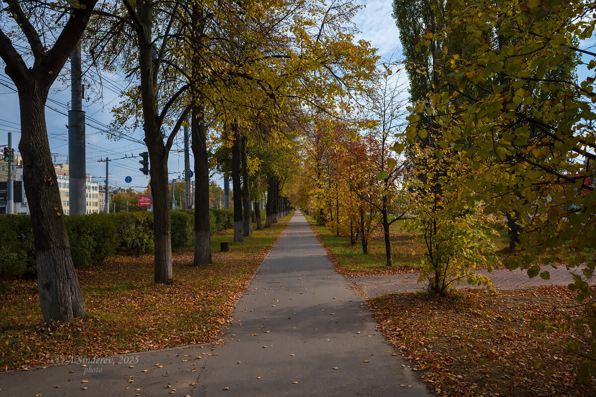 Уличная перспектива - Александр Синдерёв
