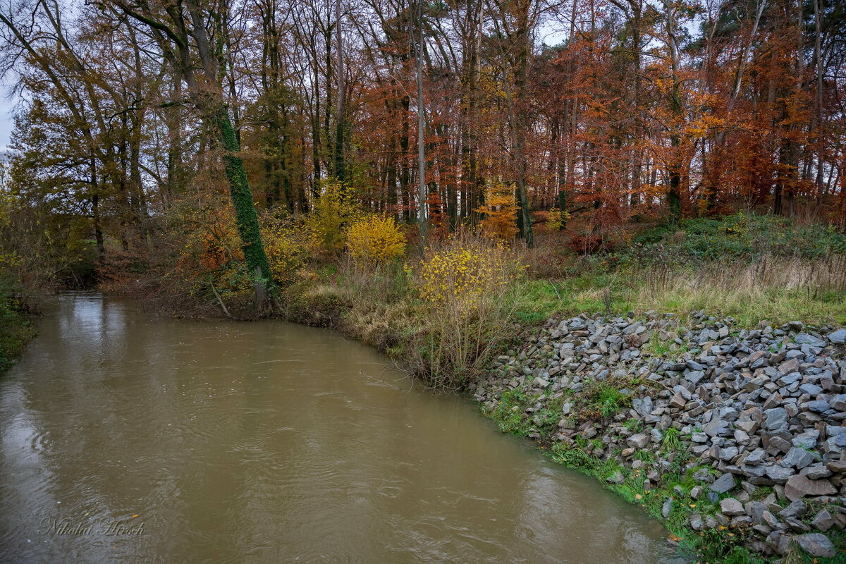 Беркель в ноябре... - Николай Гирш