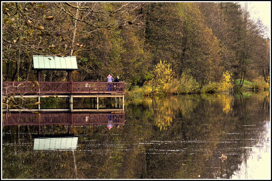 Вот и ноябрь - Aleksandr Gal