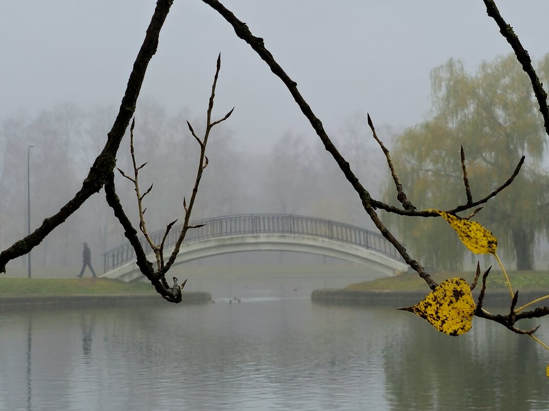 Парк в тумане - Мария Яковлева