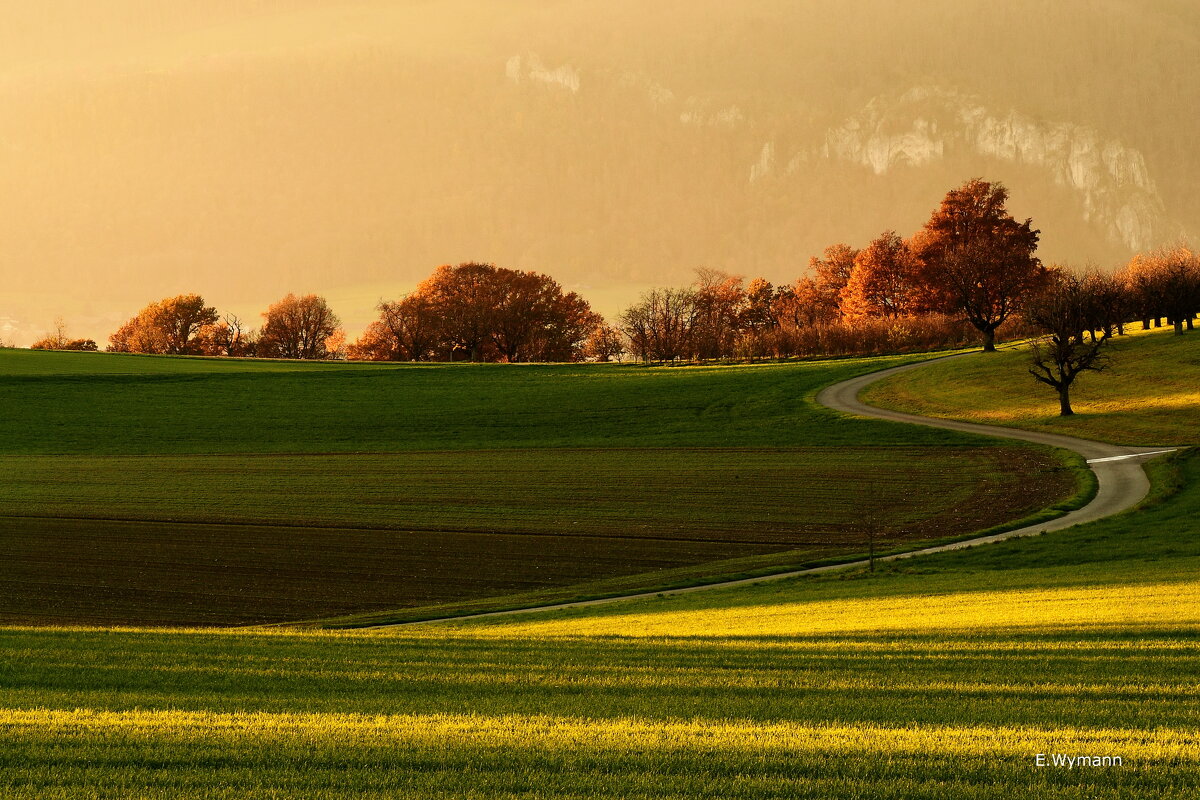 autumn evening - Elena Wymann