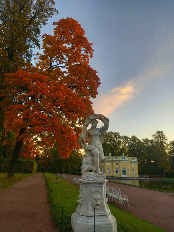 Рассвет - Сапсан 