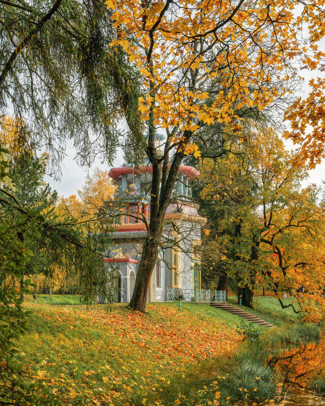 Про Питер - Владимир Колесников