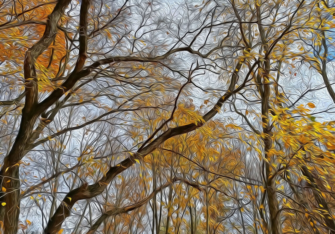 Осень хозяйничает! - Валентина  Нефёдова 