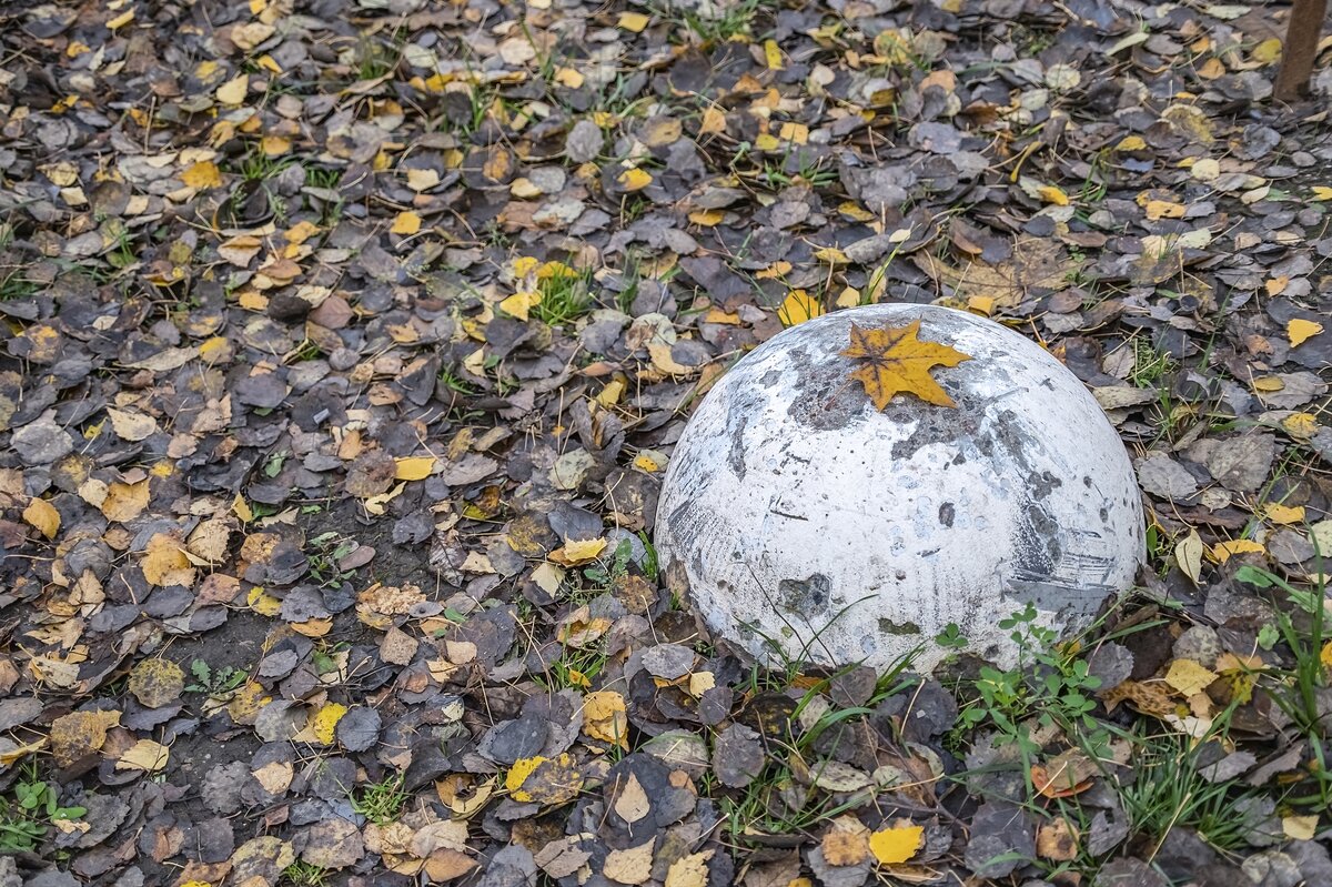 Коронованная осенью - Валерий Иванович