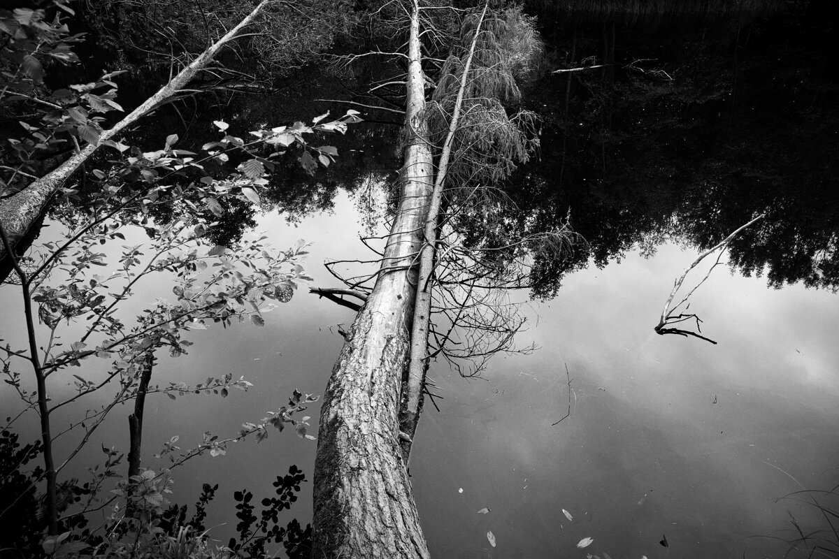 Фотография - Денис Безногов