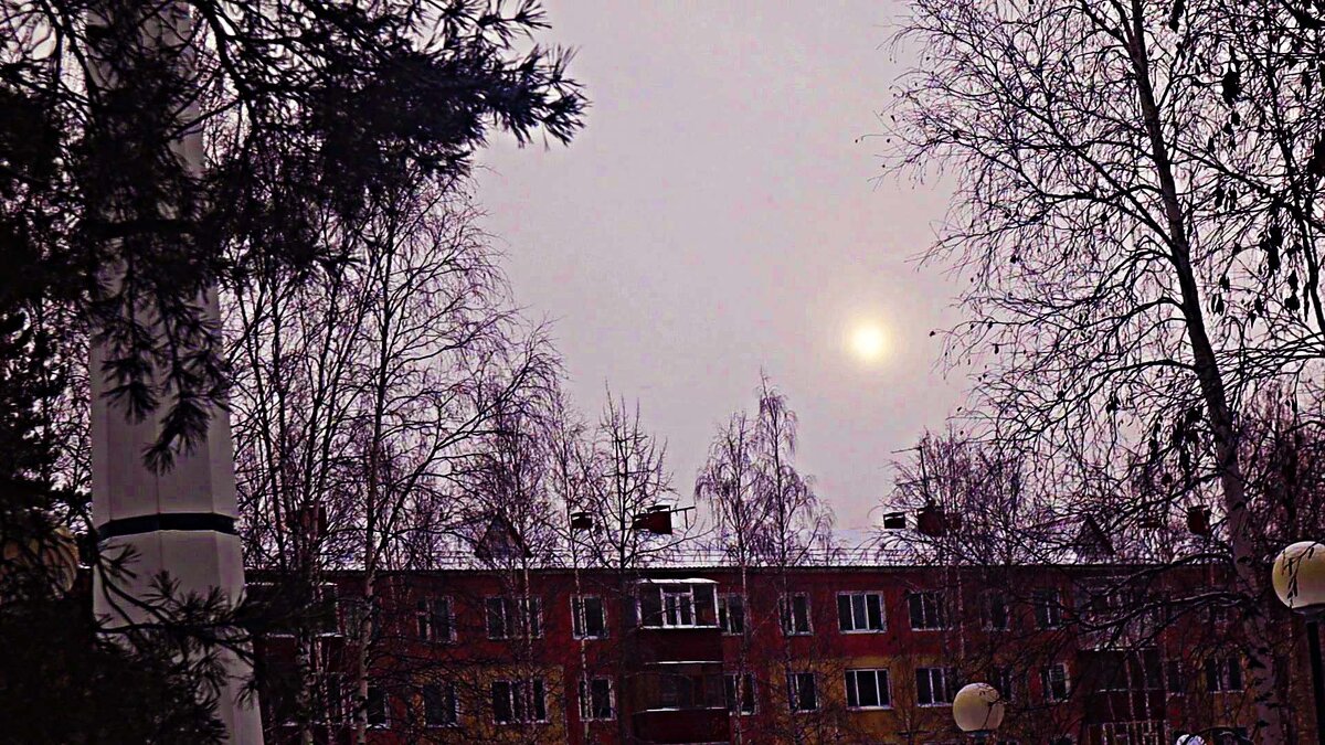 Ноябрь...Утро со снегопадом! - Владимир 