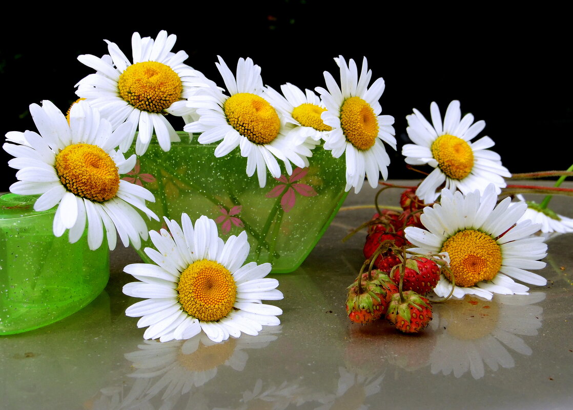 Ромашковое лето. - nadyasilyuk Вознюк