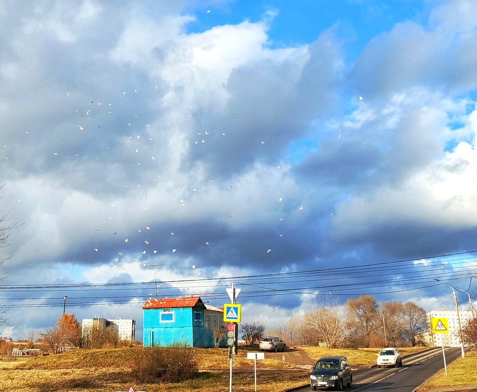 Голубятня.. - Василий 