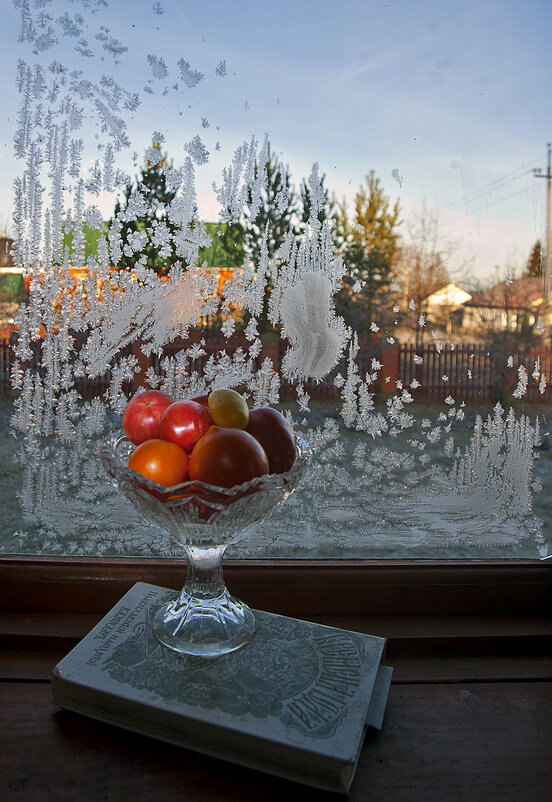 Непредсказуемый ноябрь... )) - Владимир Хиль