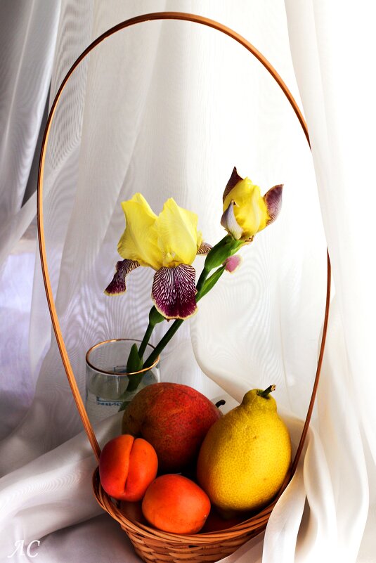 Нежность - Любовь Сахарова Нежность - Любовь Сахарова