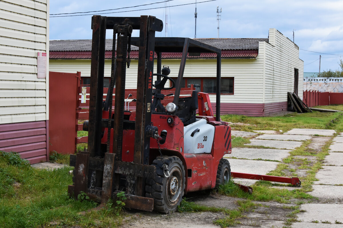 Московская область. Серпухов. Ферма «Русский страус». - Наташа *****