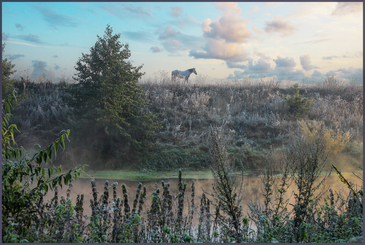 Утро. - Александр Утро. - Александр