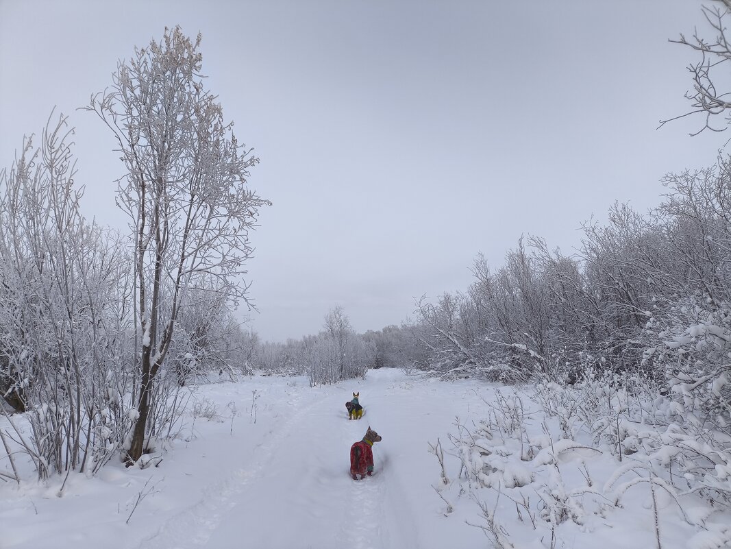 Зима - Anna Ivanova