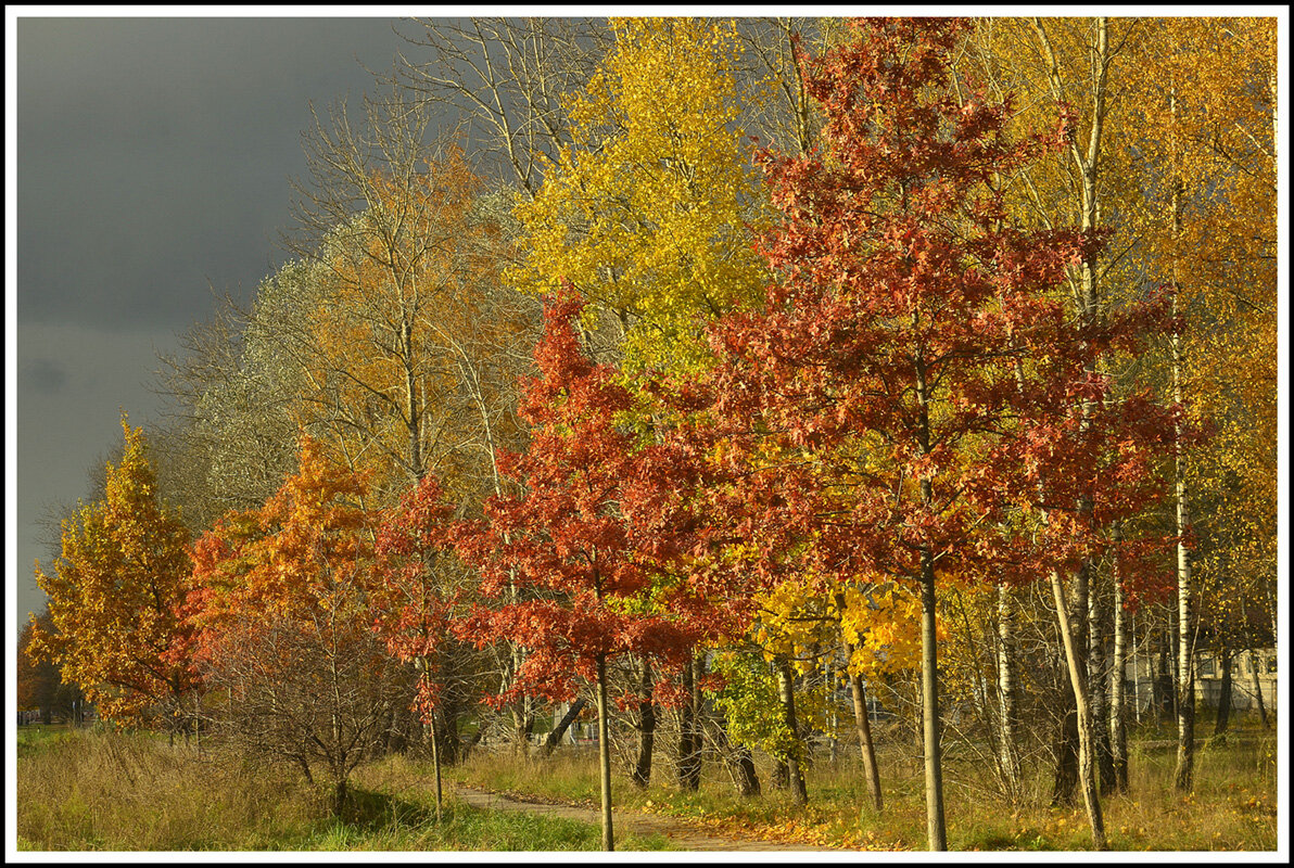 Октябрь... - Aleksandr Gal