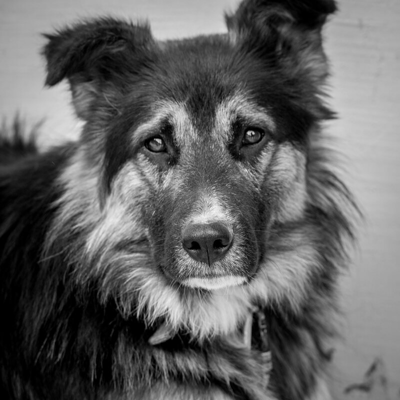 Грусть - Андрей 