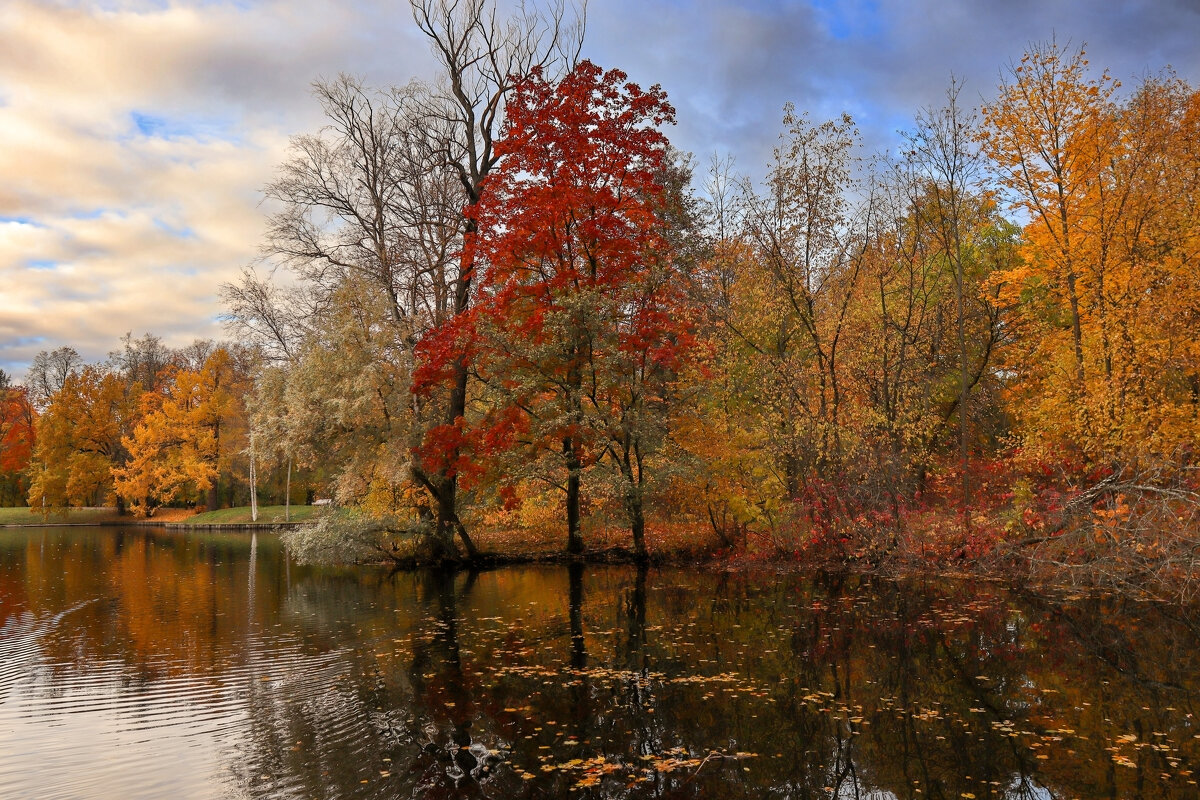 Елагин - skijumper Иванов