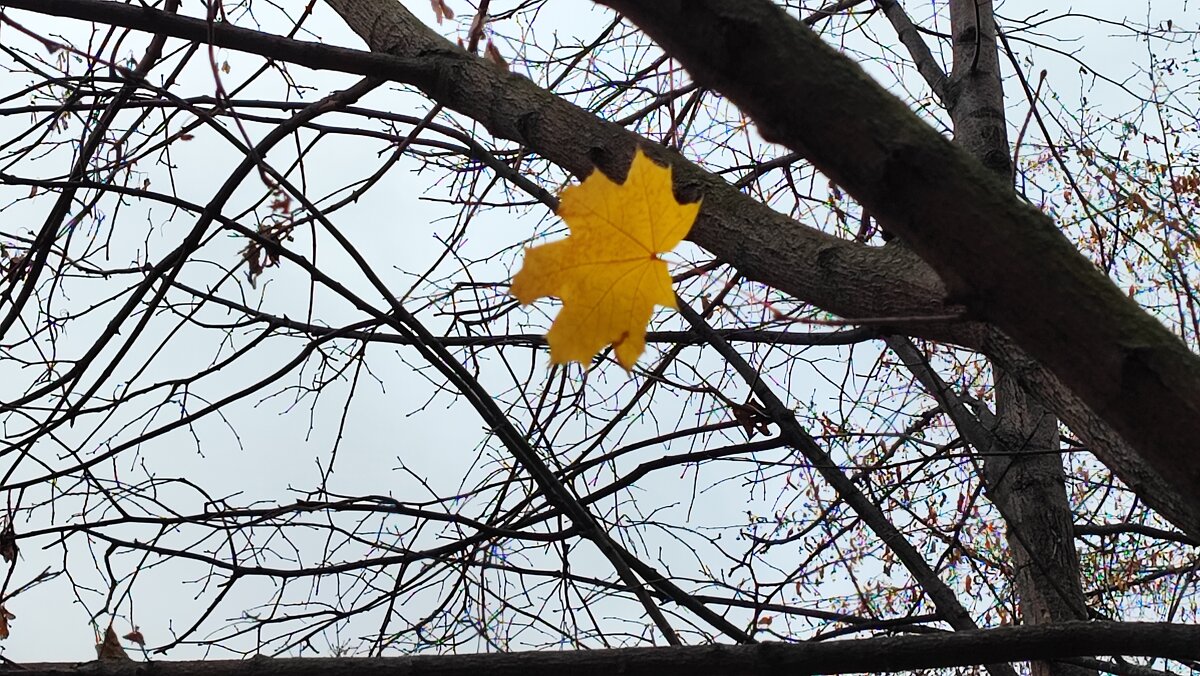 ,,, - Сергей Тимоновский