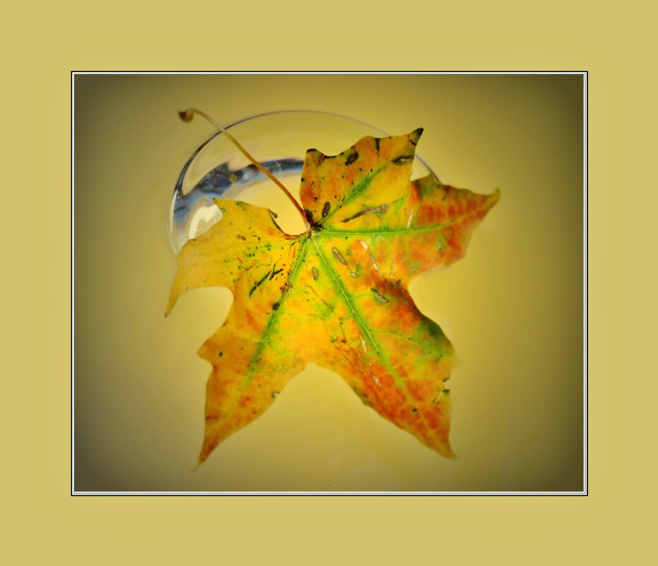 ОСЕННИЙ ЛИСТ... - Elvira E. ОСЕННИЙ ЛИСТ... - Elvira E.