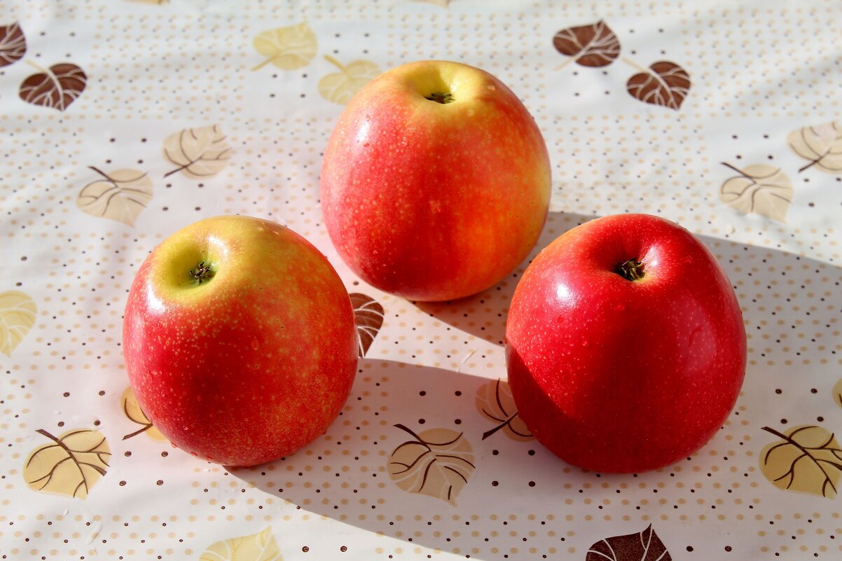 Яблочки - Владимир Помазан