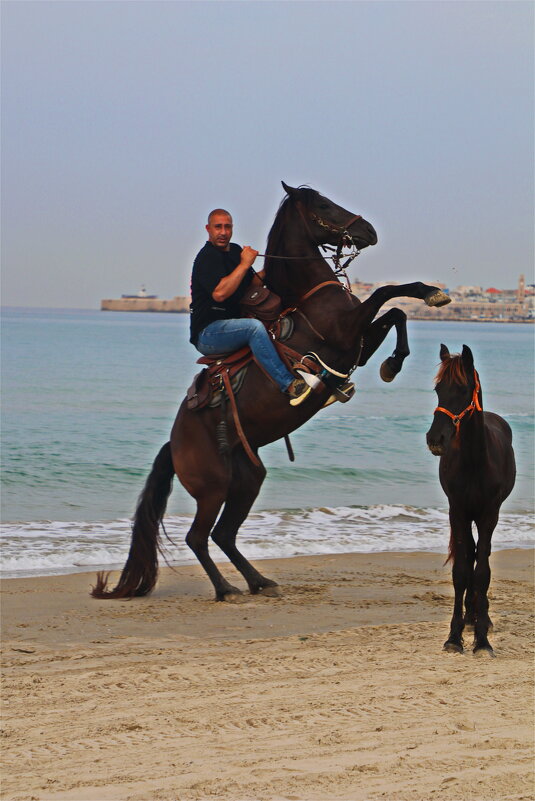 Спорт - Владислав Воровский 