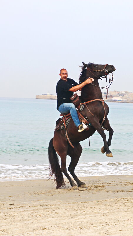 Спорт - Владислав Воровский 