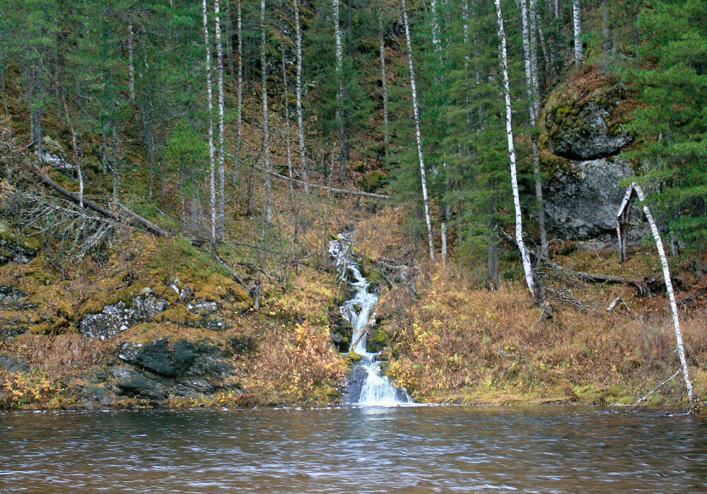 Лесной ручей - Галина Ильясова Лесной ручей - Галина Ильясова