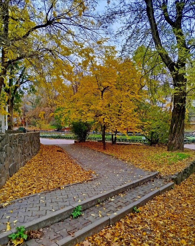 Осенние аллеи! - Надежда 