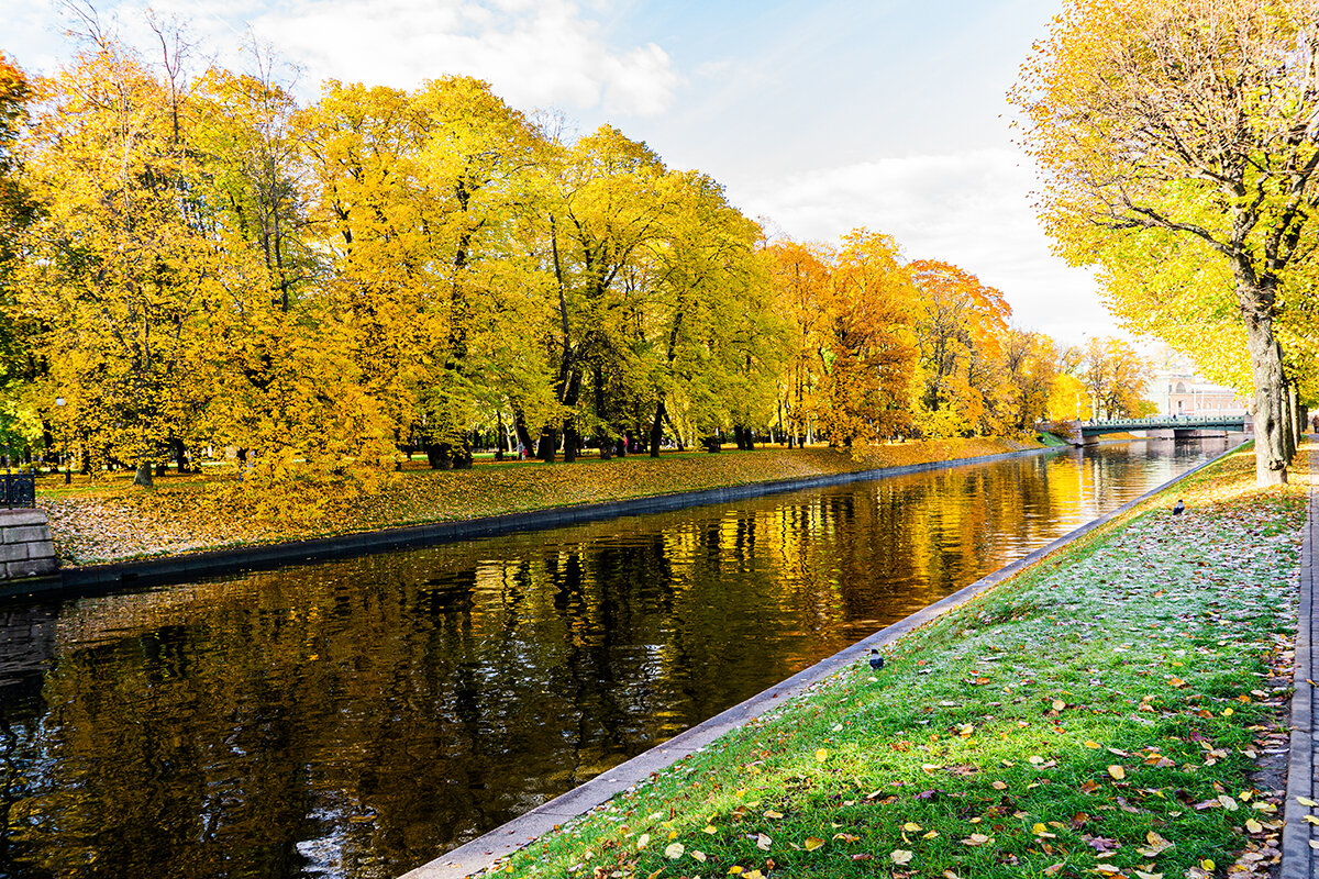 Мойка - Ирина Соловьёва