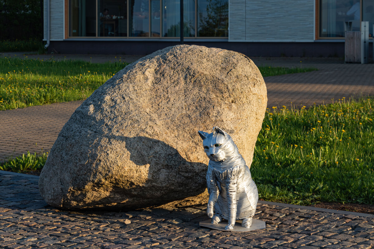 Петрозаводск, Онежская набережная - navalon M