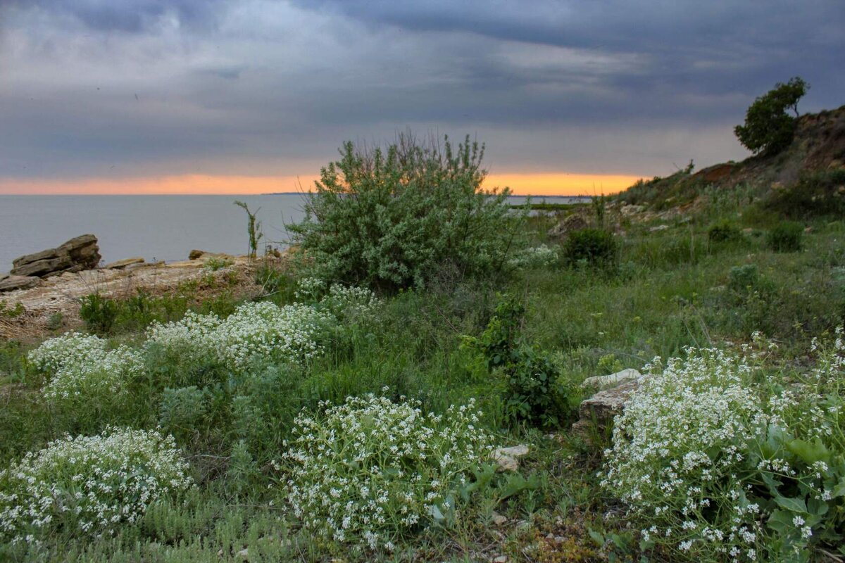 Закат - Оксана Новик 