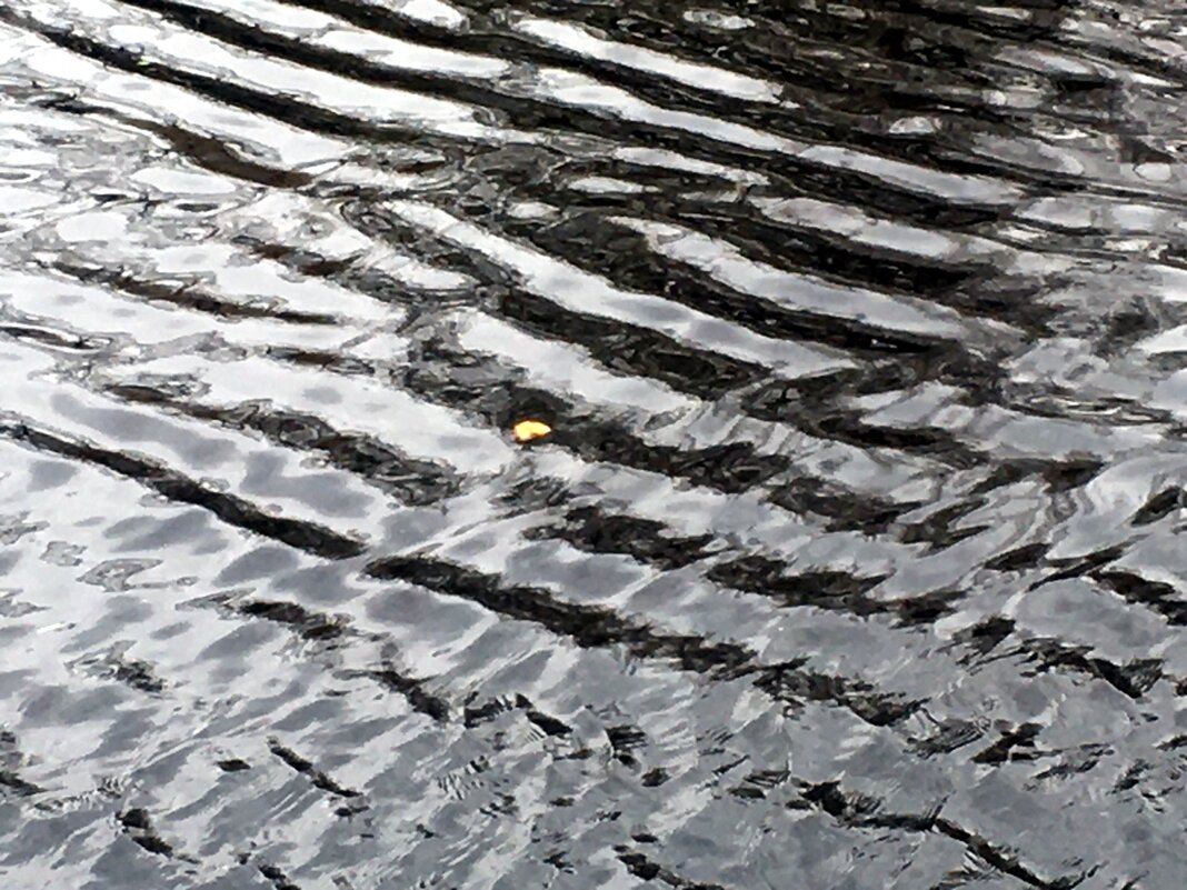 Плыл листок по Ловати... - Владимир Павлов