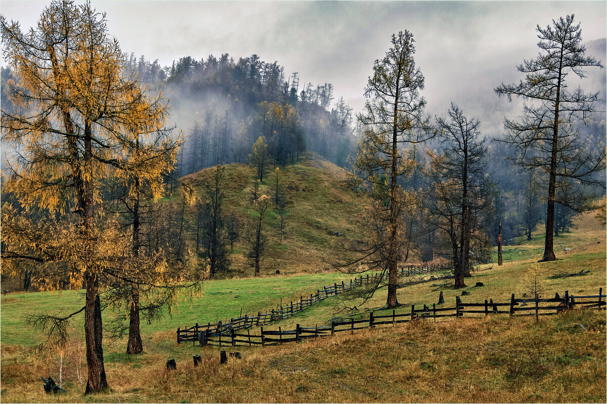 Осень в горном Алтае - Алексей Мезенцев