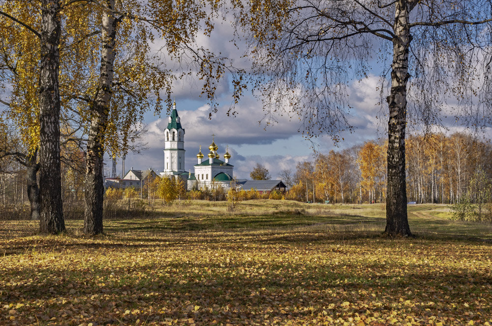 Покосово . - Александр Иванович Шитов