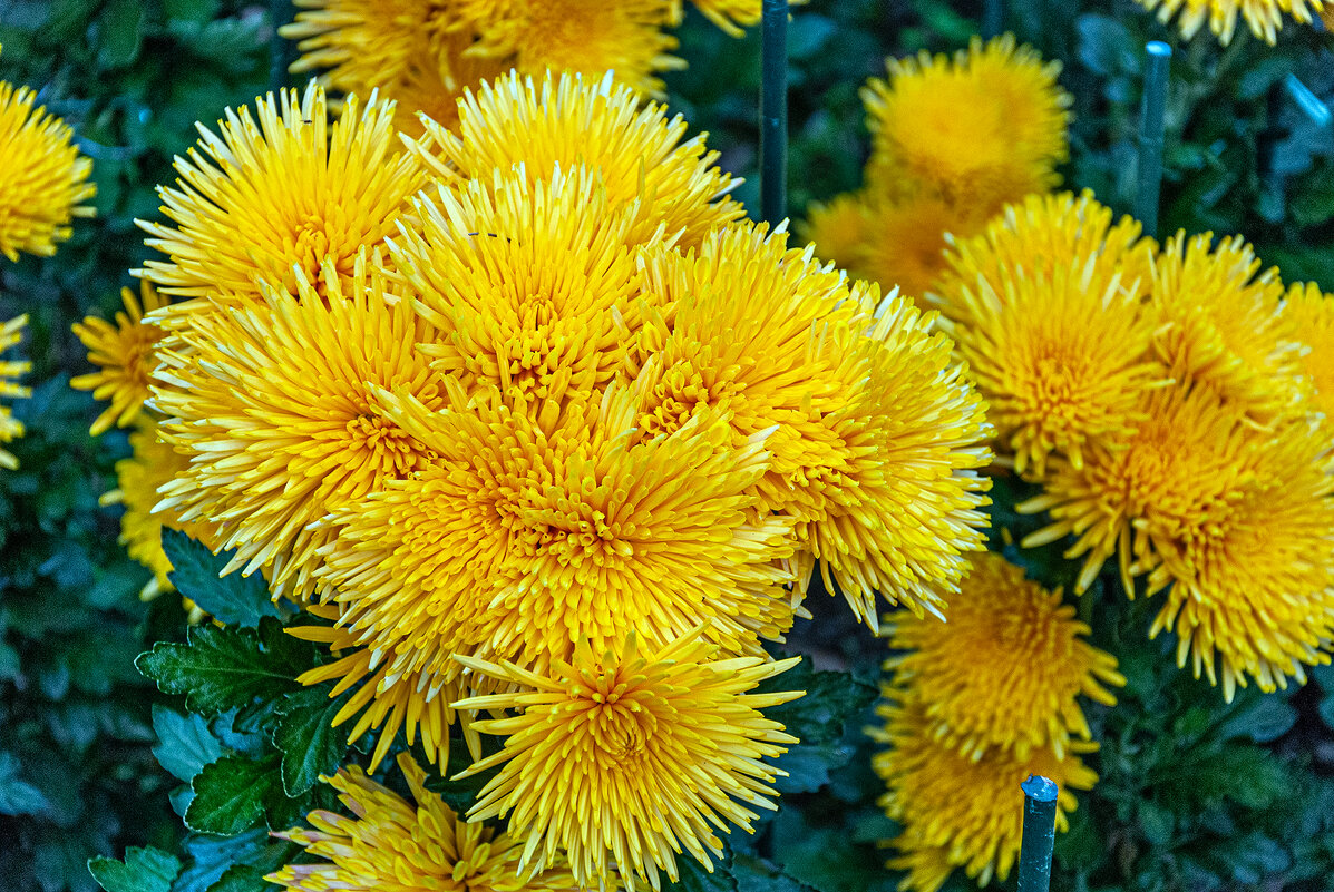 Красота осени! - Варвара Красота осени! - Варвара