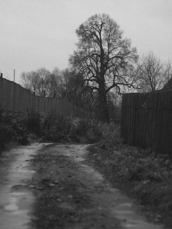 *** - Анна Малышева