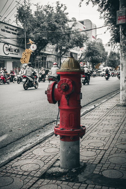 *** - Николай Чекалин