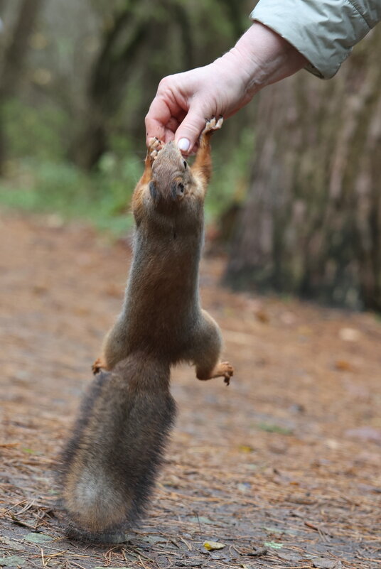 Есть отрыв! - Александр Кондаков