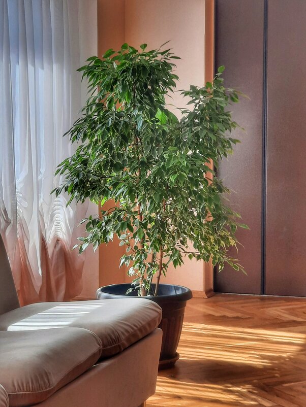 В холле - Irene Irene