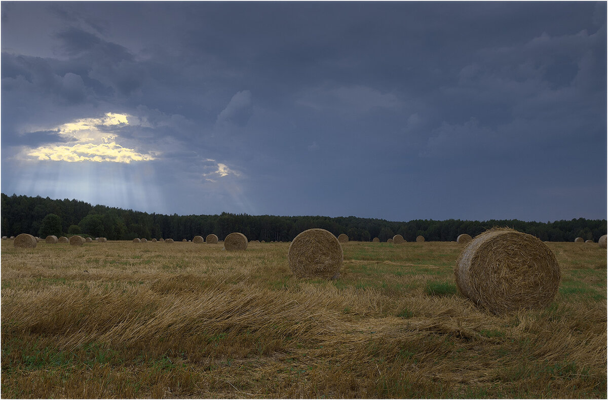 Картинка августа - Валентин Котляров Картинка августа - Валентин Котляров